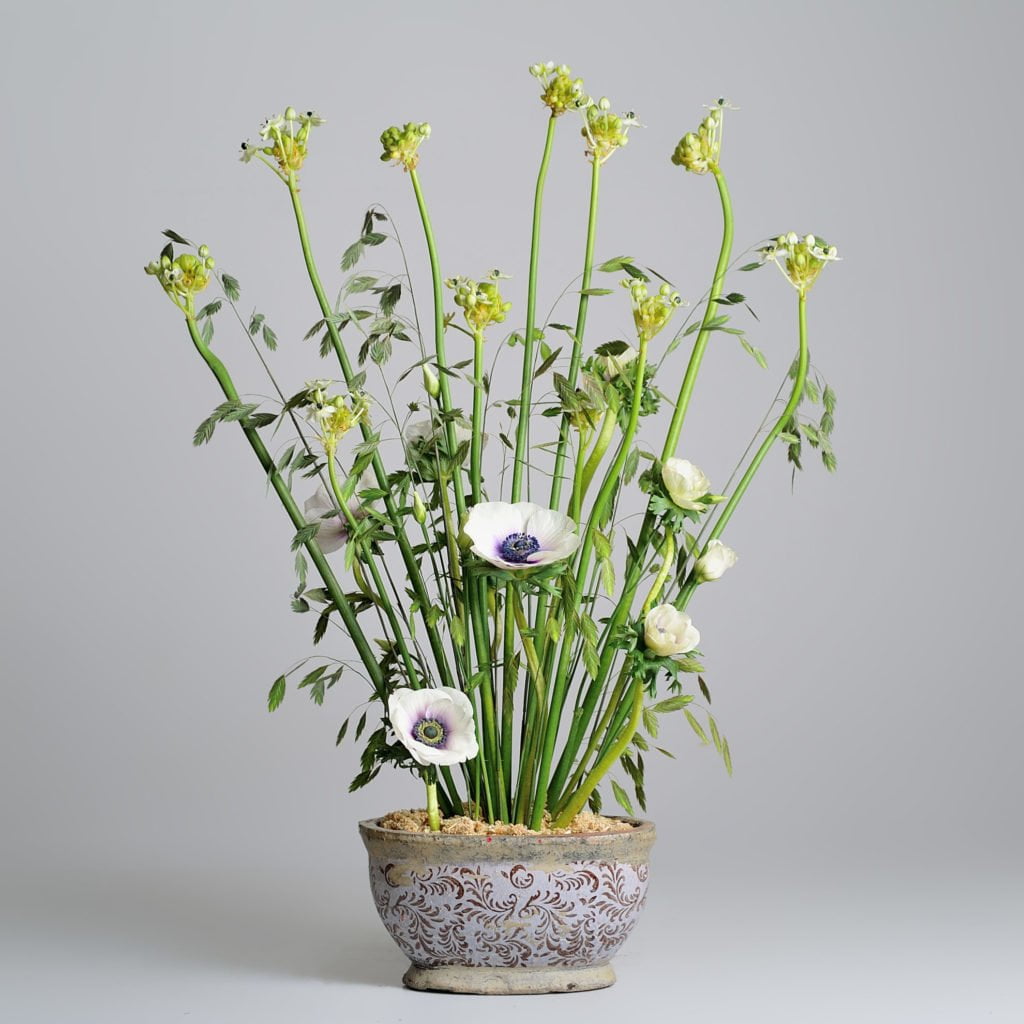 Композиция с использованием Анемоны