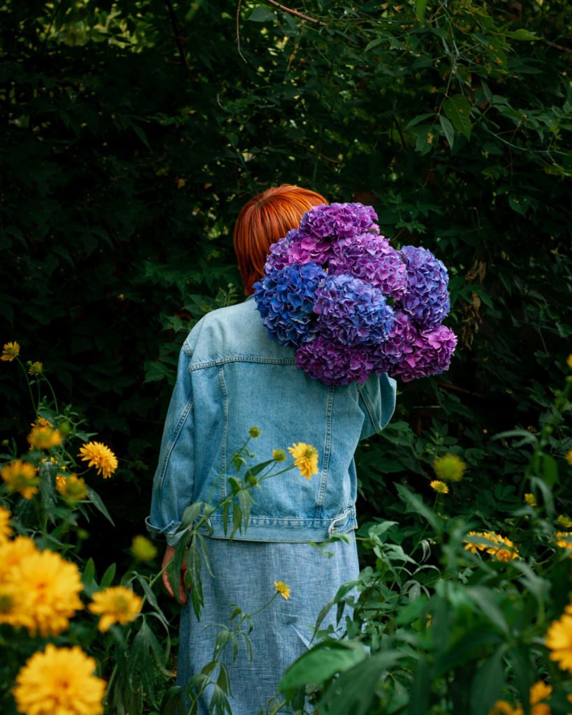 Гортензия в школе Kazanflowerschool. Фото @havikozoki