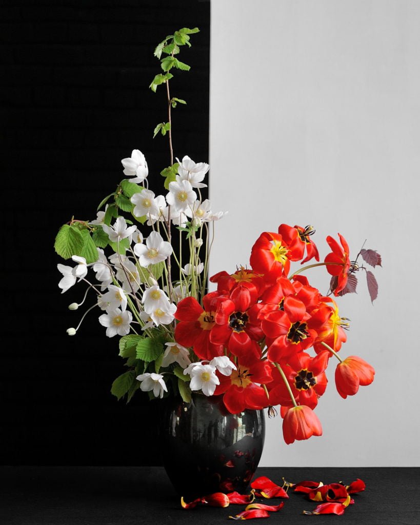 Композиция @Maks_flor Фото @havikozoki