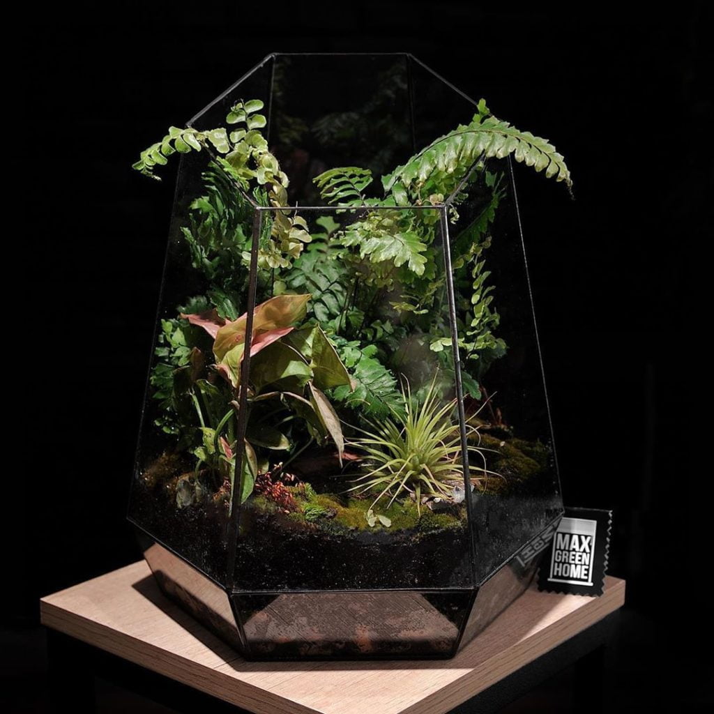 Максим Вотяков @maks_flor. Курсы флористики. Букеты Казань. Комнатные растения Казань.