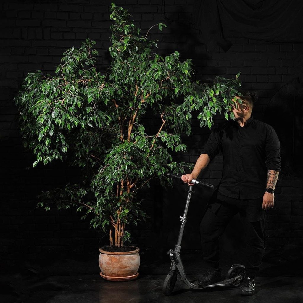 Максим Вотяков @maks_flor. Курсы флористики. Букеты Казань. Комнатные растения Казань.