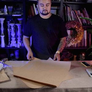 Установка растения Установка растения