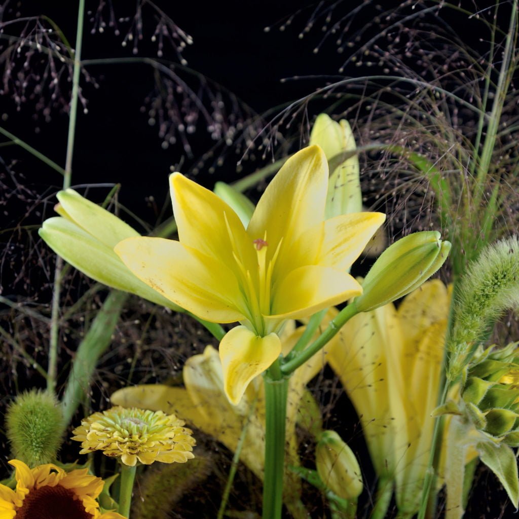 Осеннее оформление стола. Флористика.