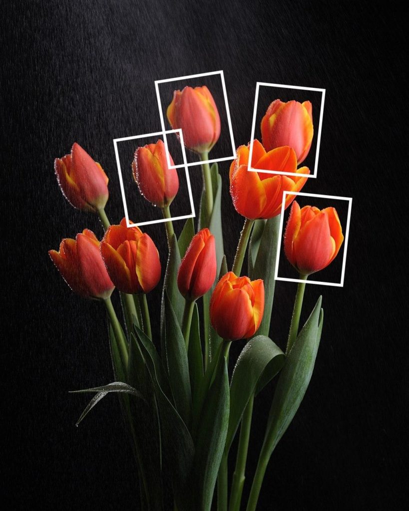 Прямоугольный габитус